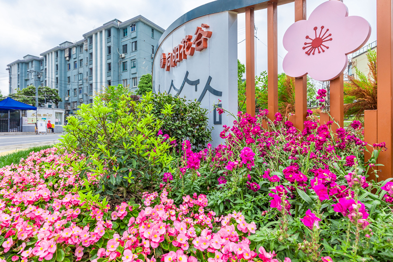 老城廂的背街小巷成了網紅打卡地